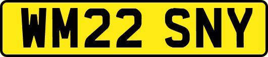 WM22SNY