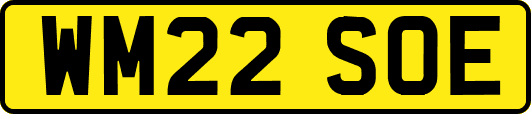 WM22SOE