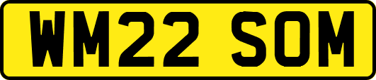 WM22SOM