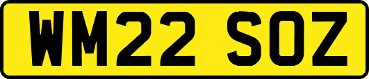 WM22SOZ