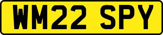 WM22SPY
