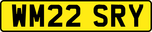 WM22SRY