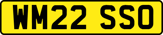 WM22SSO