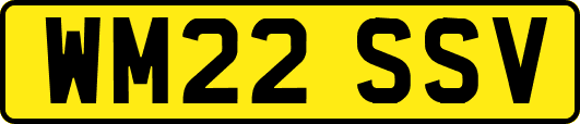 WM22SSV