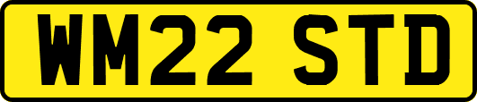 WM22STD