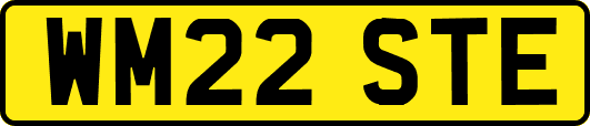 WM22STE
