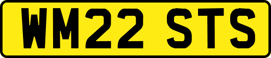 WM22STS