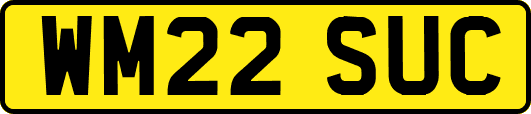 WM22SUC
