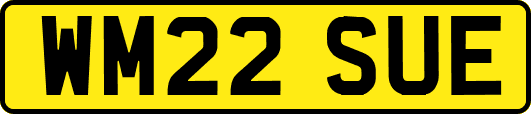WM22SUE