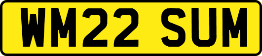 WM22SUM