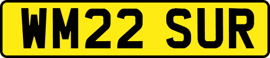 WM22SUR