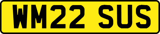 WM22SUS