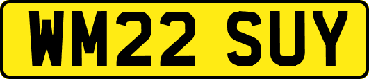WM22SUY