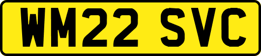 WM22SVC
