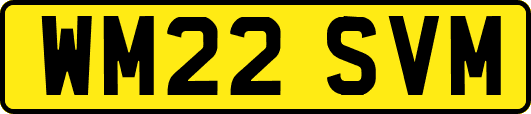 WM22SVM