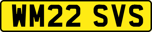 WM22SVS