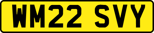 WM22SVY
