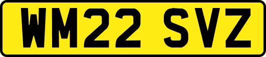 WM22SVZ