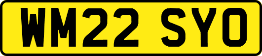 WM22SYO