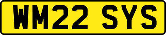 WM22SYS