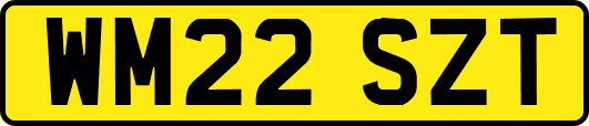 WM22SZT