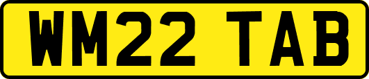 WM22TAB