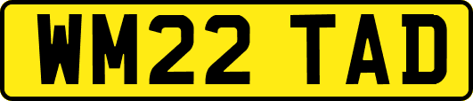 WM22TAD