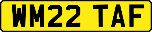 WM22TAF