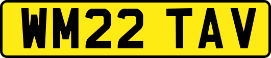 WM22TAV