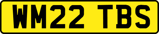 WM22TBS