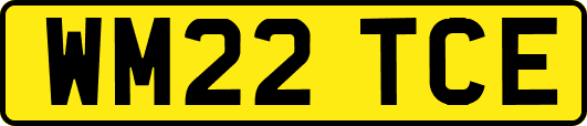 WM22TCE