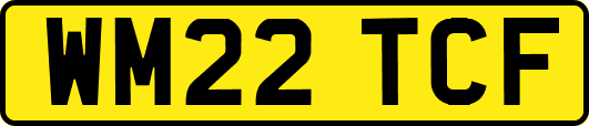 WM22TCF