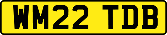 WM22TDB