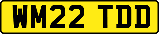WM22TDD