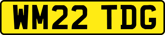 WM22TDG