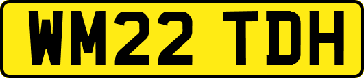 WM22TDH