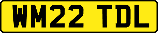 WM22TDL