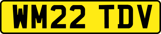 WM22TDV