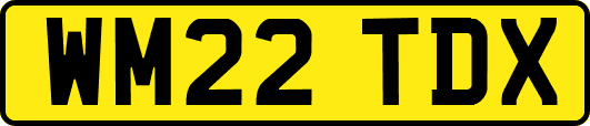WM22TDX