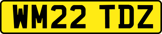 WM22TDZ