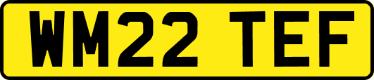 WM22TEF