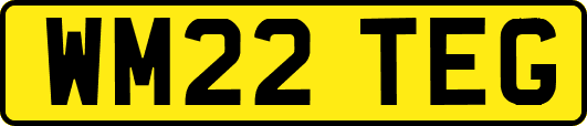 WM22TEG