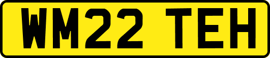 WM22TEH