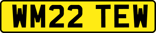 WM22TEW