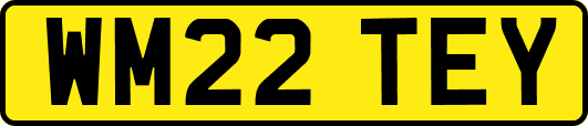 WM22TEY
