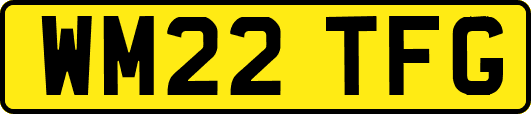 WM22TFG