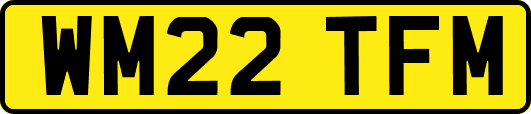 WM22TFM