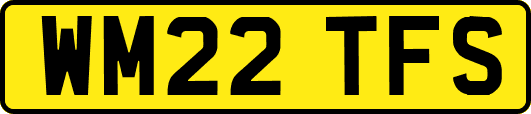 WM22TFS