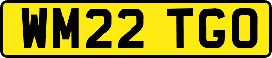 WM22TGO