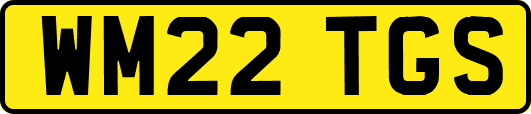 WM22TGS